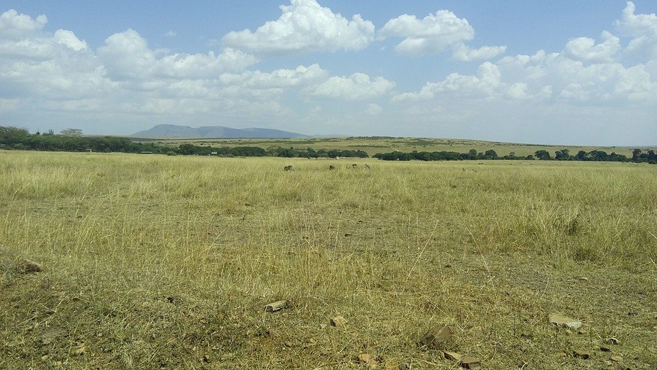 Kenya Adventure Budget Camping Safari/Masai Mara Tour Break.