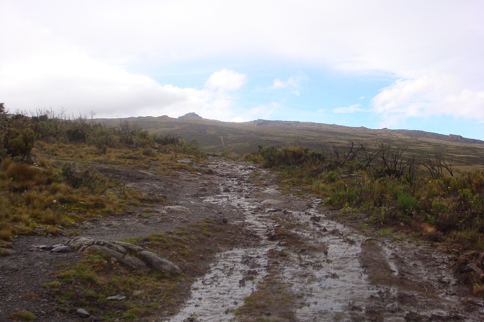 Adventure trekking,yha Kenya travel,mount Kenya expenditions
