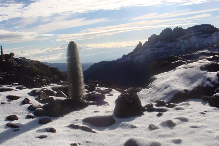 Mount Kenya Trekking Tours/ YHA Travel Mountain Adventures.
