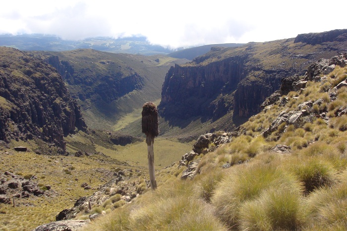 Mount Kenya Summit Climb/YHA Kenya Adventure Climbing Tours.
