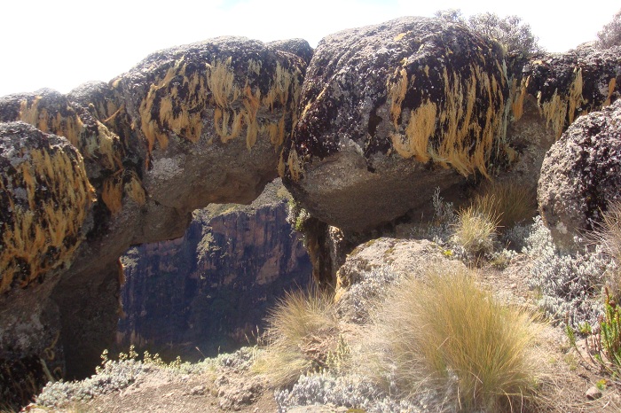 Mountain Kenya Trekking Tours/YHA Kenya Travel Adventures.