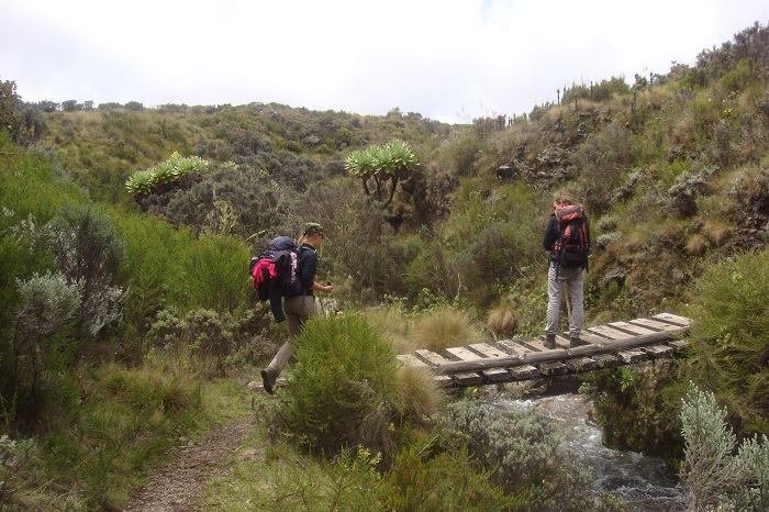 Mount Kenya Hiking/Active Adventures Trekking Mount Kenya