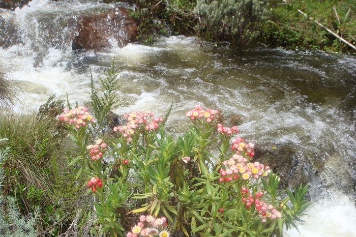 YHA Kenya Travel,Hiking,Trekking,Active Mountain Adventures.