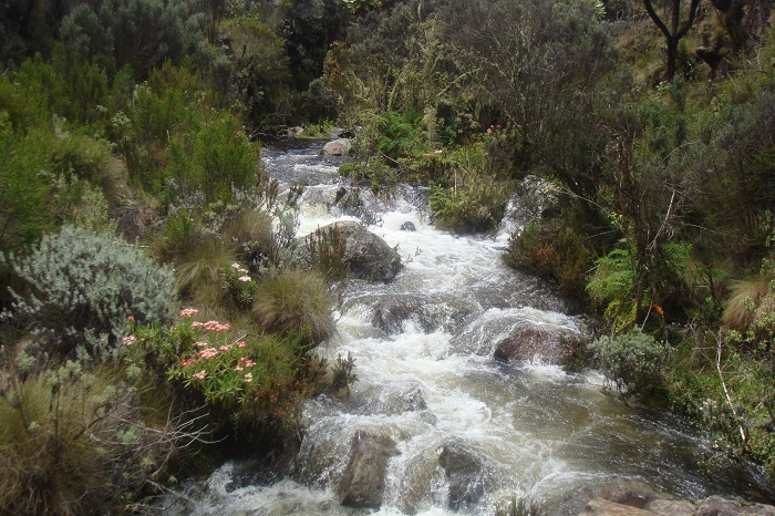 Adventure Trekking Mount Kenya, Hiking Kenya, Kenya Climbing,Adventures.