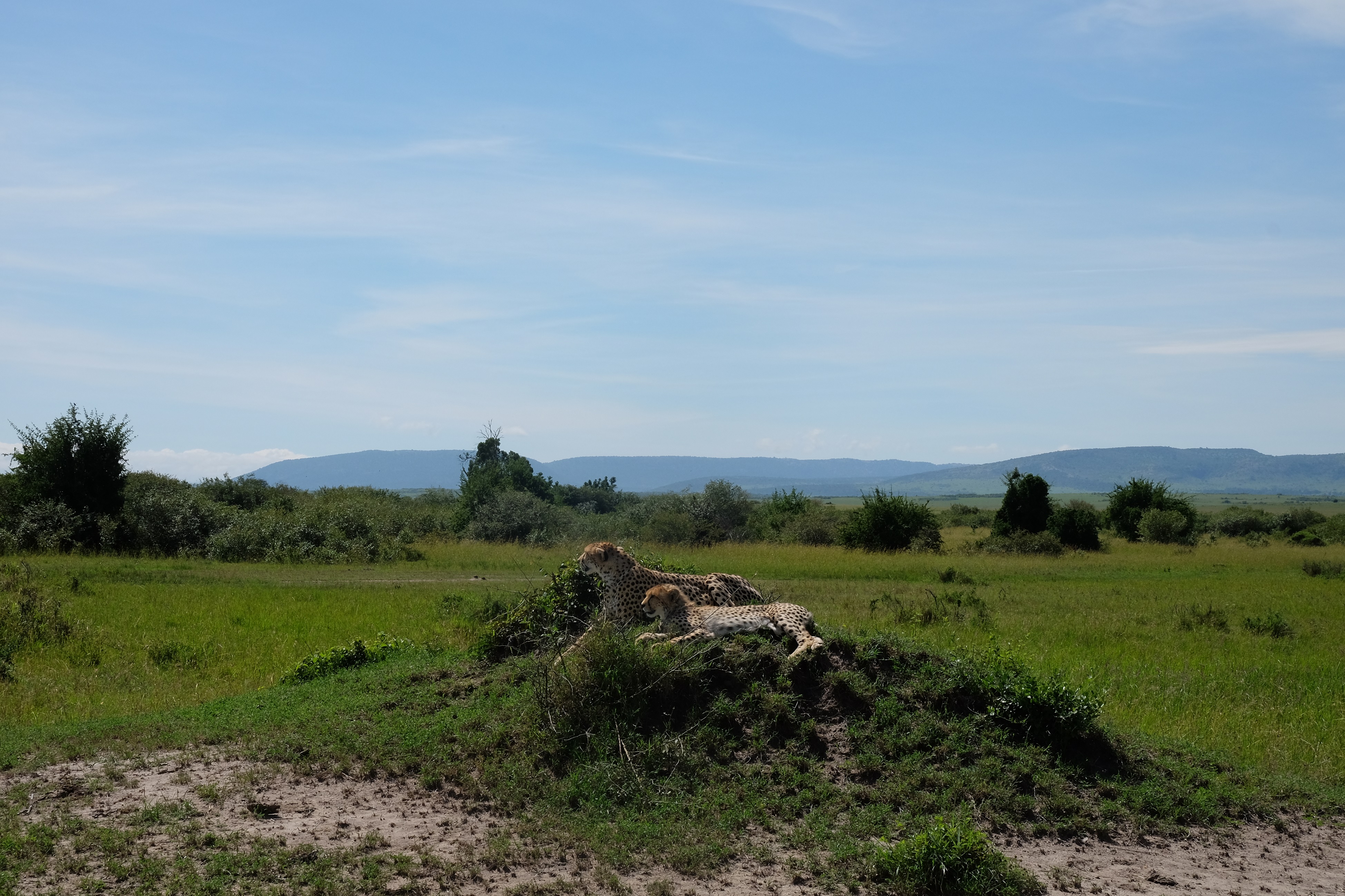 African Active Adventure Safaris Booking/Africa Budget Tours/ YHA Kenya Travel.