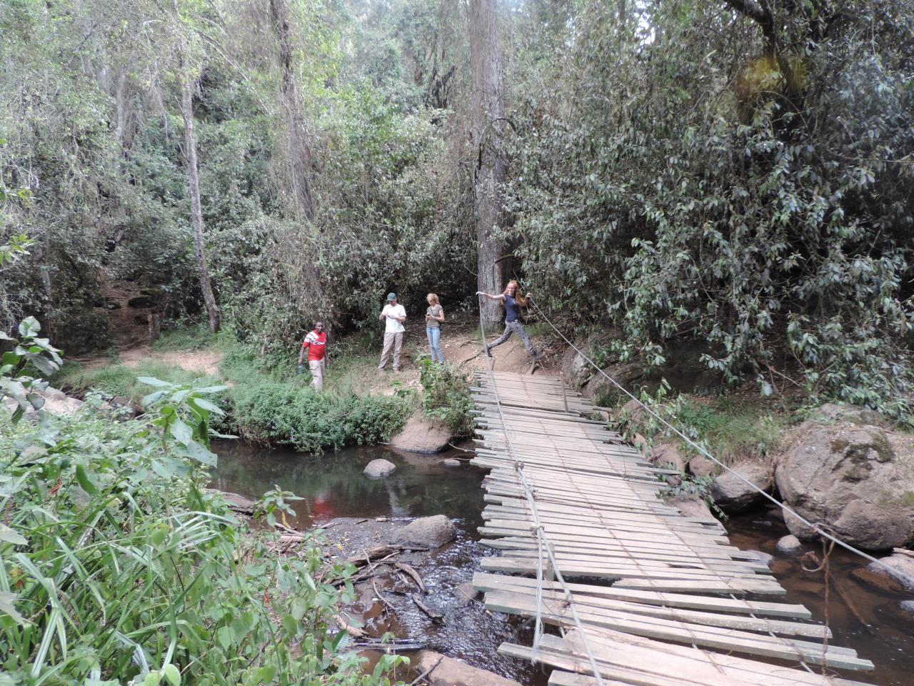 hike Mt Kenya, trekking trips Kenya, climbing mount Kenya, climbing Mount Kenya in Kenya,