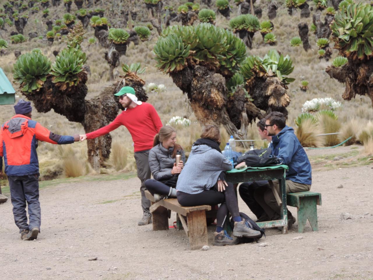  Climbing Mountain Kenya Adventures, Guided Trekking,Hiking Expeditions.