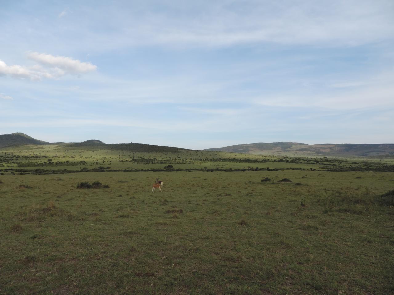 Kenya Adventure Safaris Bookings/YHA Kenya Travel Budget Tours/Holidays.