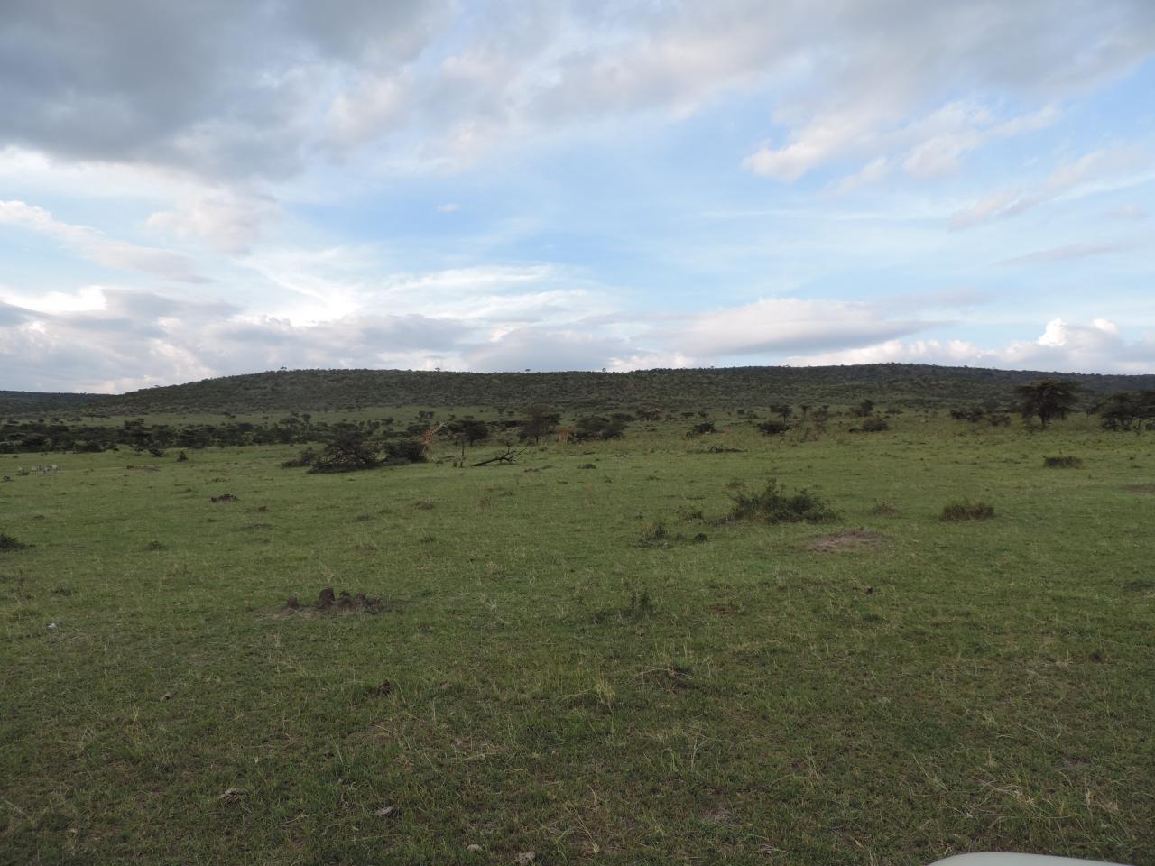 Kenya Adventure Safaris/YHA Kenya Travel Budget Tours/Holidays.