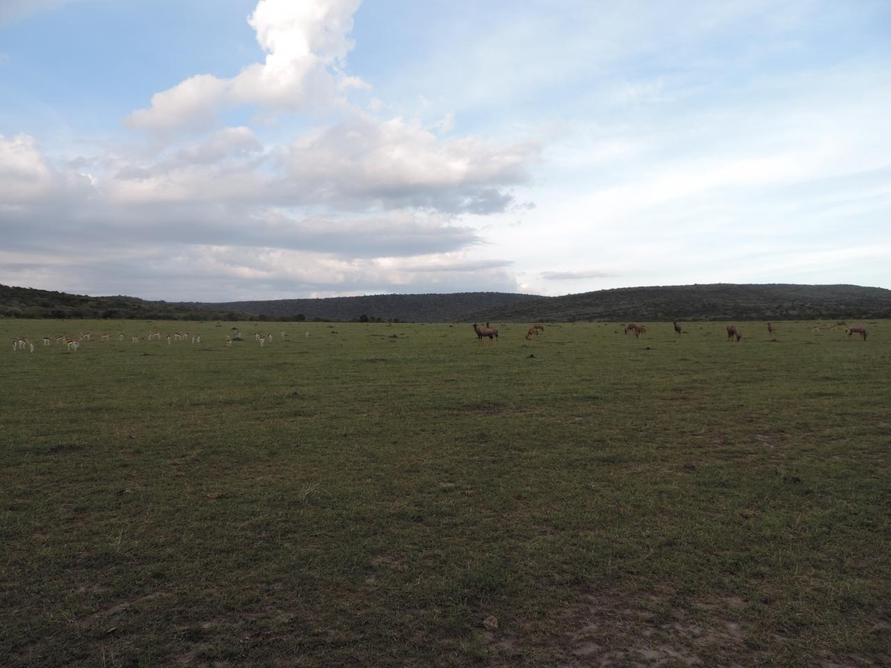 Kenya Adventure Safaris/ Group Safaris/Tours Holidays.