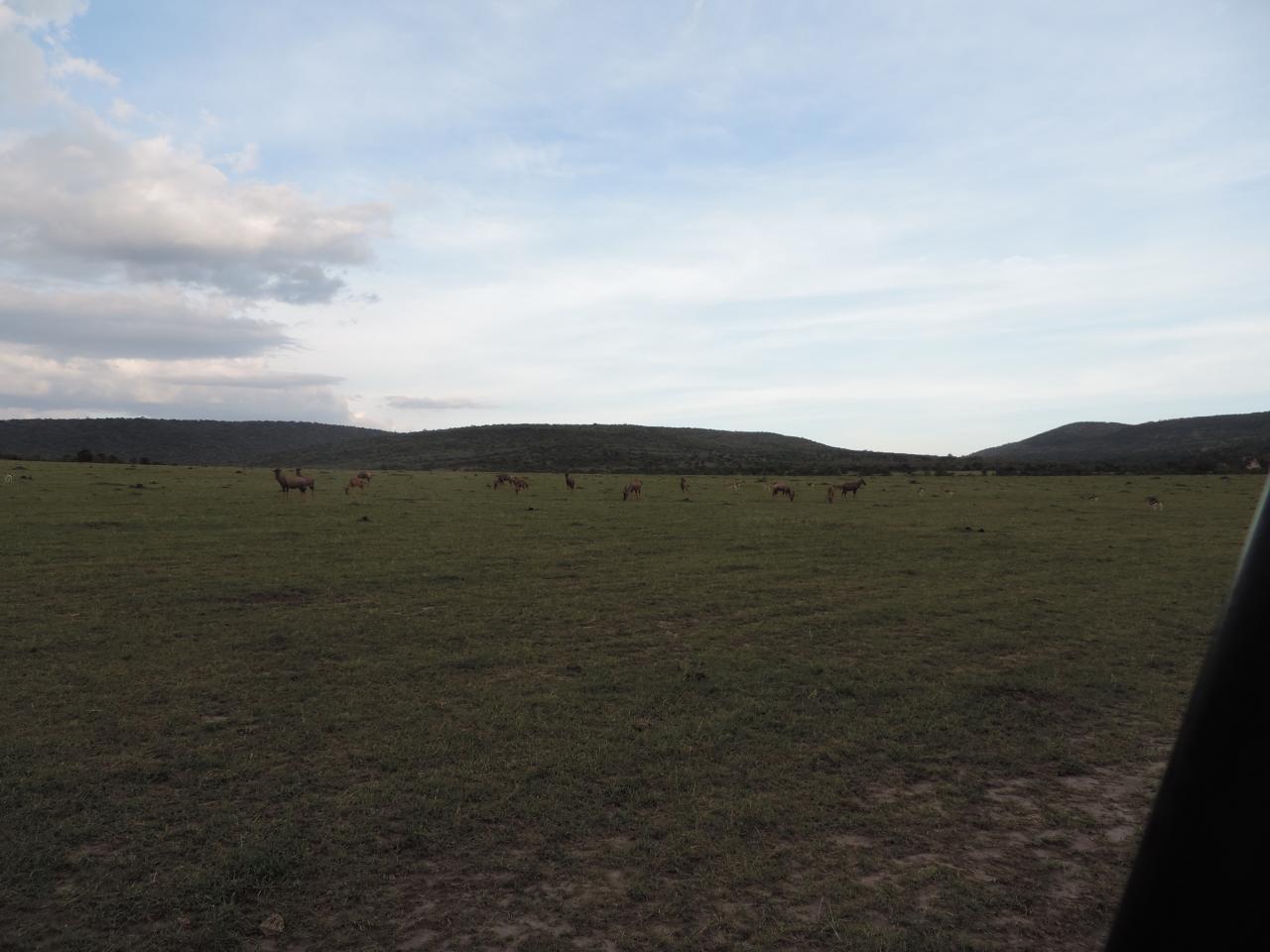Kenya Adventure Safaris/ Kenya Safaris/Kenya Tours/Holidays.