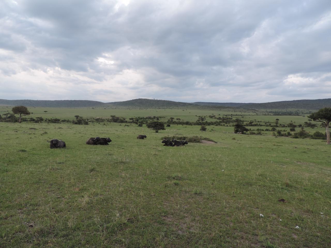 Kenya Adventure Safaris Booking/ Kenya Wildlife Safari/Kenya Tours/Holidays.