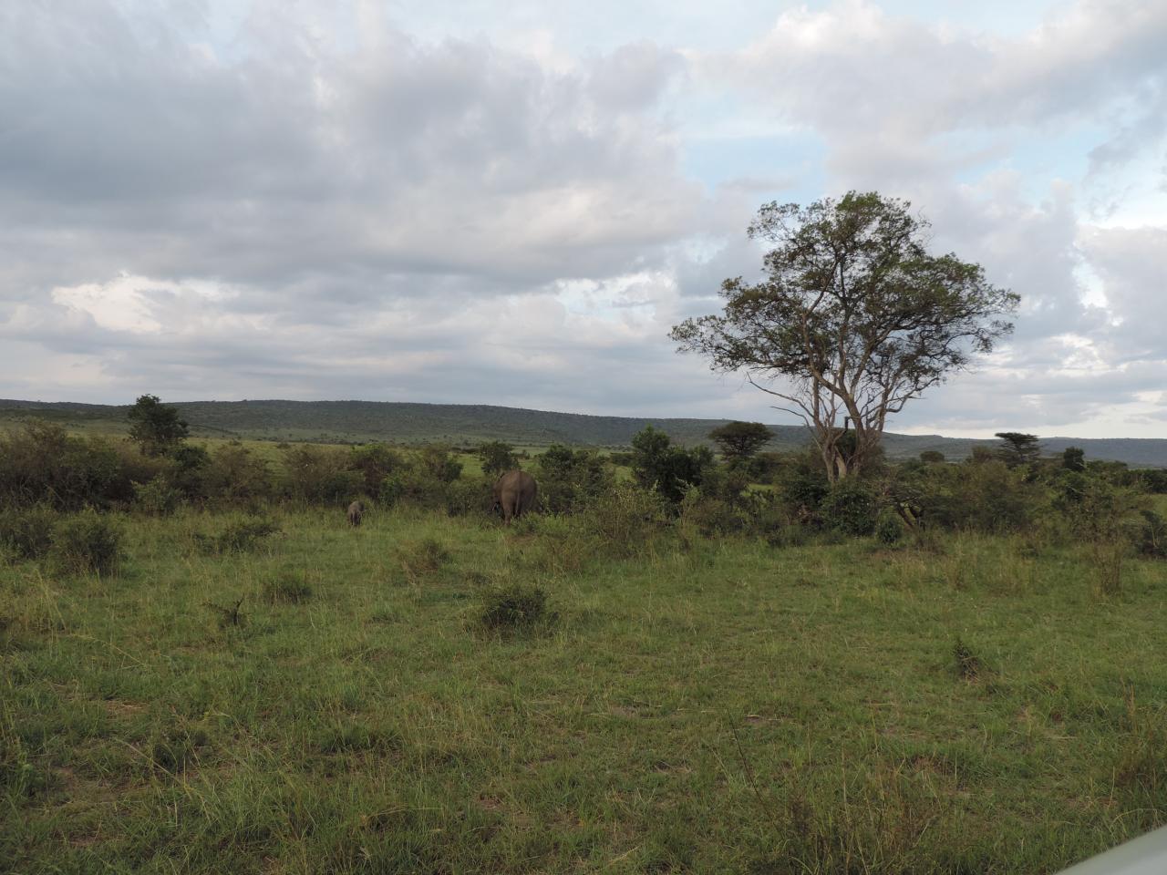 Kenya Active Adventure Safaris/ Kenya Safaris/Kenya Tours/Best Wildlife Holidays.
