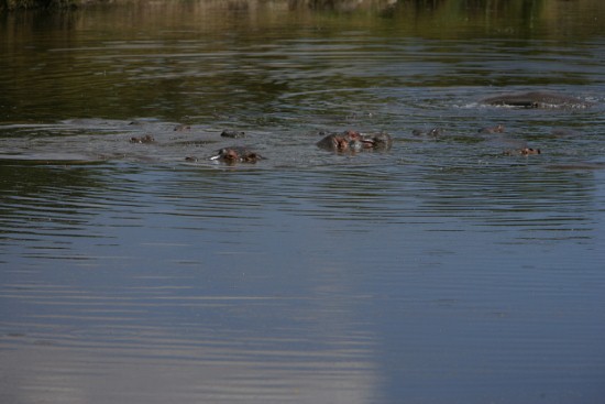 Kenya Adventure Safaris/YHA Tours Bookings/ Budget Travel.