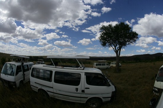 Big Five of Masai Mara/Kenya Adventure Tours.