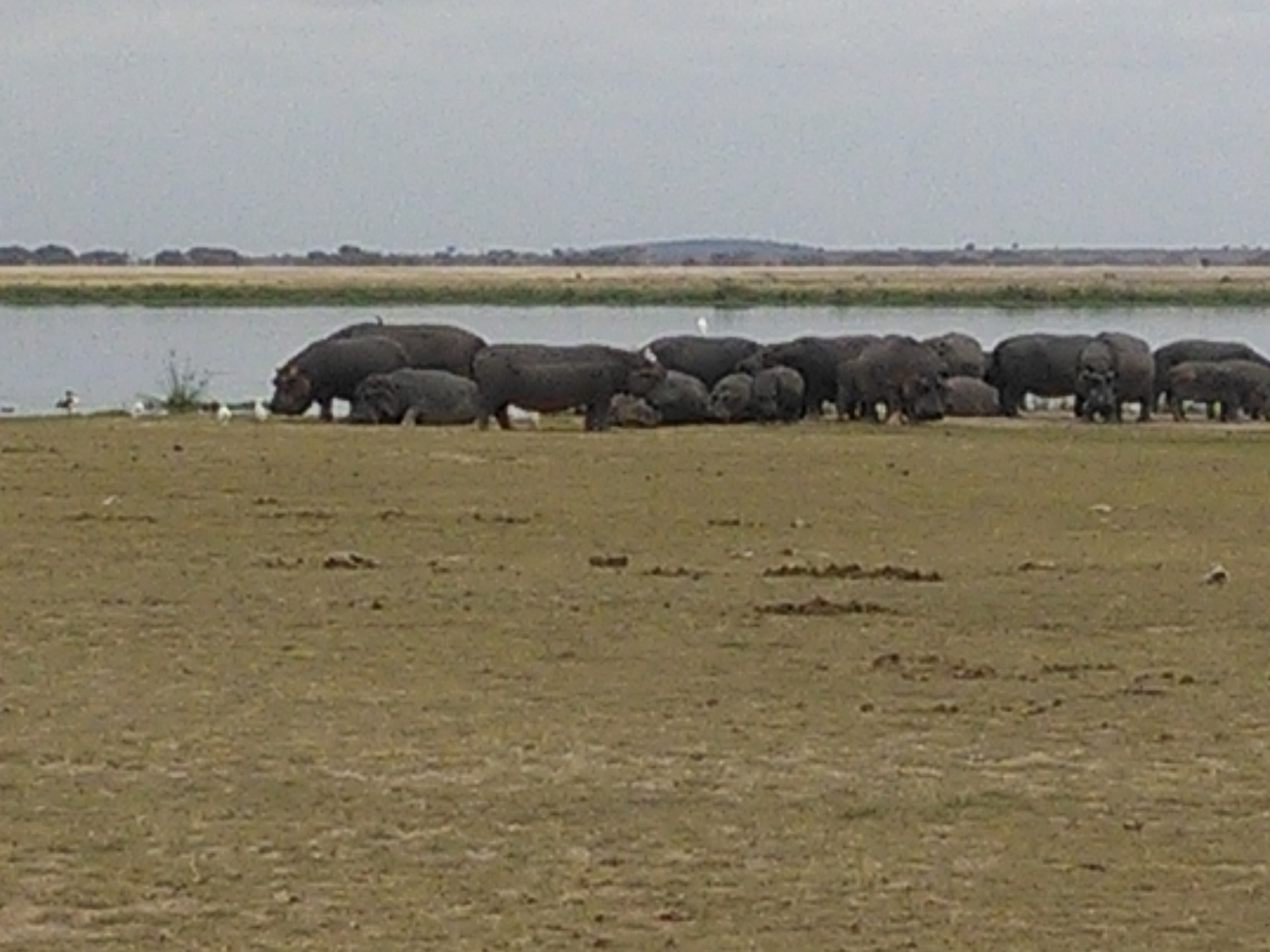 Kenya Adventure Safaris/ Short Wildlife Budget Camping Safaris.