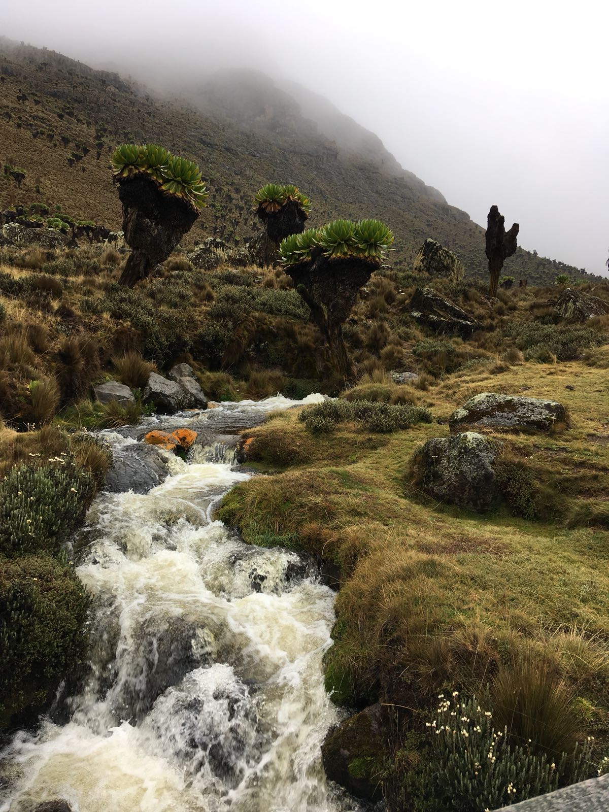  YHA Kenya Travel, Mountain Adventures,Guided Small Group Tours.