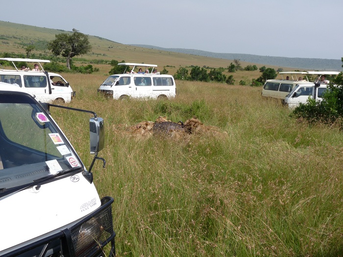 Kenya Camping Safaris Booking/  Short Wildlife Safari Adventure Tours..