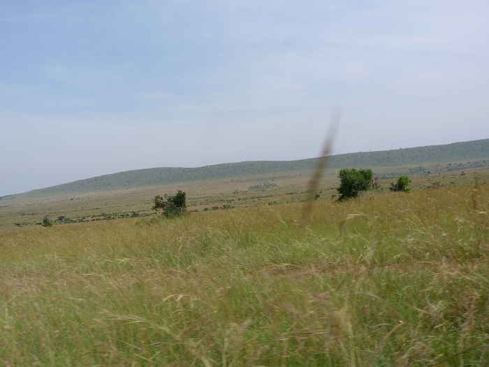 African Budget Safaris/ Small Group Safari Tours/Wildlife Safari.