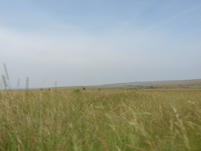 Africa Wildlife Safari/ Kenya Camping Safaris/ Short Safaris Adventure.