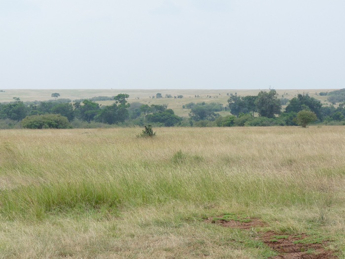 Kenya Wildlife Safari Holidays and Tanzania Budget Adventure Camping Safaris.