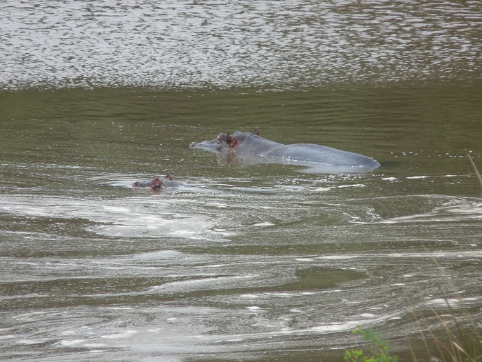 Kenya Camping Safaris/ African Adventure Tours/Safari Bookings.