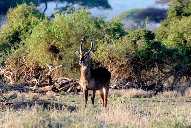 Epic Kenya Adventure Budget Camping Safaris.YHA Kenya Travel.