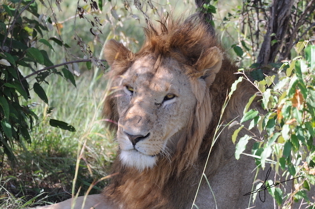 Guided Small Group Adventures  Private Group-Family Travel -Safaris -Tours.