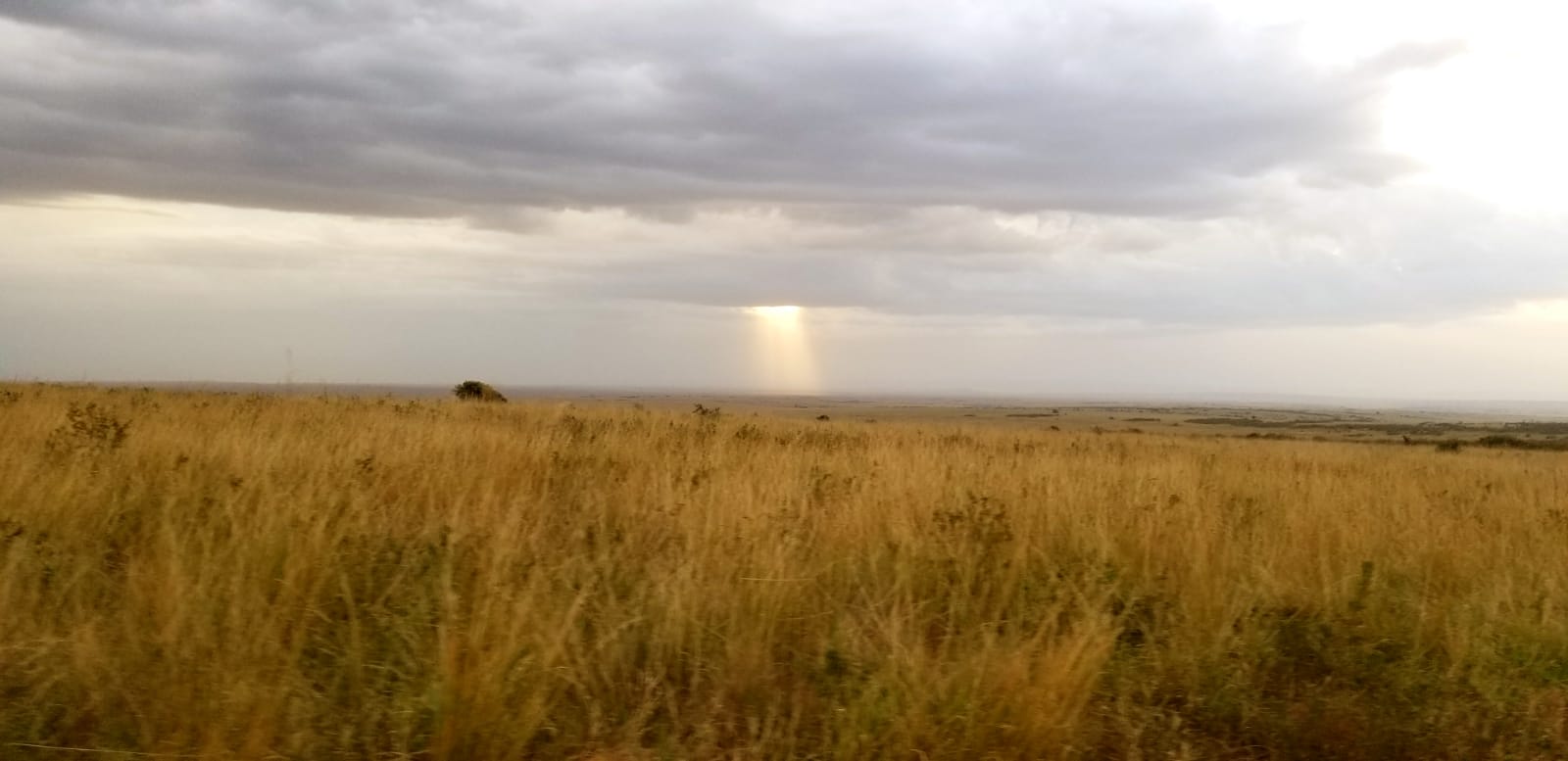 Migration Safari/Hot Air Balloon Ride/African Adventure Budget Tours.