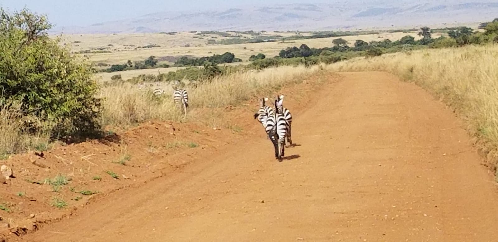 Active Adventure Safaris/YHA Kenya Travel/Africa Budget Camping Tours.
