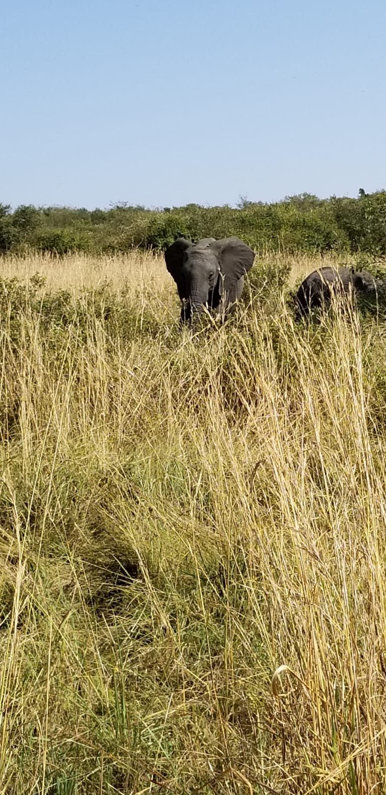 YHA Kenya Travel Tours, Kenya Adventure Budget Camping Safaris. 