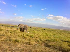 The Big Five Safari/YHA Kenya Travel Tours/Amboseli National Park/Kilimanjaro Views.