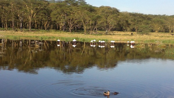 YHA Kenya Travel, Active Adventures, Big Five of Africa, African Safari