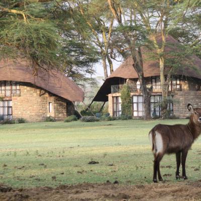 Kenya Adventure Safaris, African Budget Wildlife Safaris, YHA Kenya Travel, Kenya Budget Safaris, Kenya Budget Adventure Camping, Active Adventures, Safari Bookings. Kenya Adventure Safaris, African Budget Wildlife Safaris, YHA Kenya Travel, Kenya Budget Safaris, Kenya Budget Adventure Camping, Active Adventures, Safari Bookings.