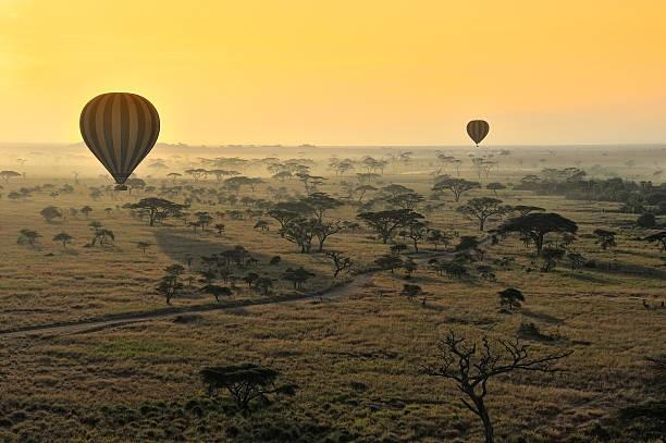 Balloon Safaris,Active Adventures,Hot Air Balloon Safari In Masai Mara Kenya,Balloon safaris in Kenya,YHA Kenya Travel,Luxury Travel , Things to do in Masai Mara Reserve,Book Balloon Safari.