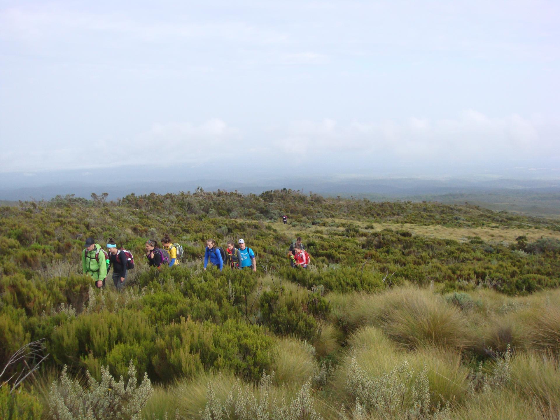Mountain Adventures, Trekking, Hiking, Safari Booking, Small Group Adventures, YHA Kenya Travel, Active Adventures, Kenya Adventure Safaris.